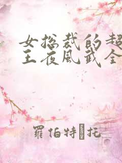 女总裁的超级兵王夜风武全文