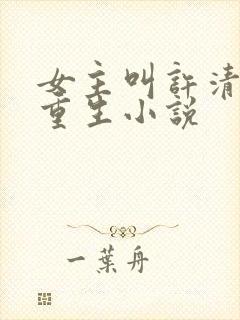 女主叫许清欢的重生小说