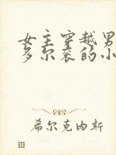 女主穿越男主是多尔衮的小说