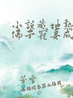 小说藏地热恋:佛子宠妻成瘾洛追嘉在线阅