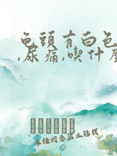 龟头有白色液体,尿痛,吃什么药