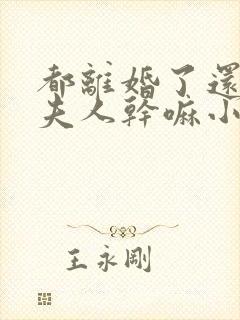 都离婚了还叫我夫人干嘛小说