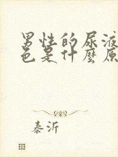 男性的尿液是黄色是什么原因