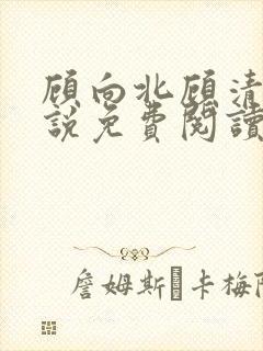 顾向北顾清寒小说免费阅读最新章节