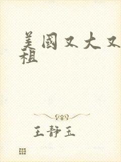 美国又大又长又租