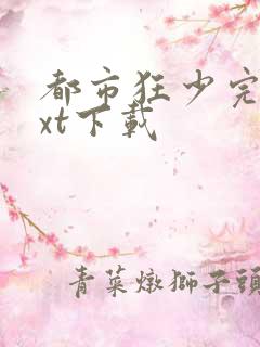 都市狂少完整txt下载