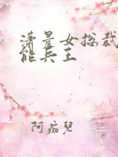 潇晨女总裁的全能兵王