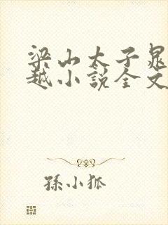 梁山太子晁云穿越小说全文阅读