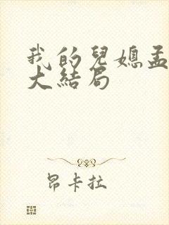 我的儿媳孟舒怡大结局