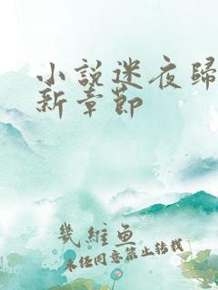 小说迷夜归来最新章节