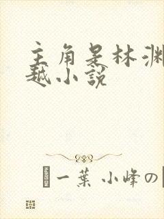 主角是林渊的穿越小说