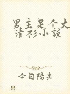 男主是个大反派 清衫小说