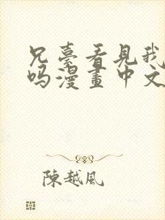 兄台看见我弟了吗漫画中文完结版