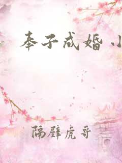 奉子成婚 小说