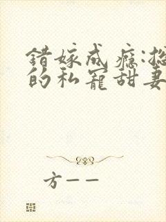 错嫁成瘾:总裁的私宠甜妻