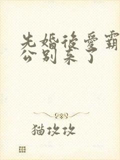 先婚后爱霸道老公别来了