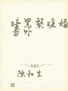 暗黑系暖婚小说番外