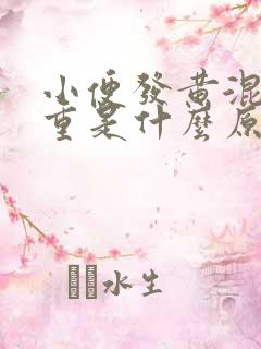 小便发黄混浊味重是什么原因