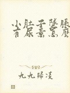 小肚子坠胀感总有尿意怎么回事