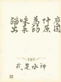 猫咪为什么尿不出来的原因