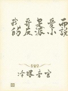 我哥是爱而不得的反派小说免费阅读