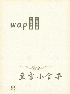 wapС˵
