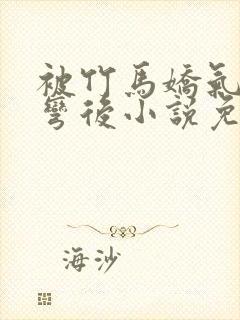 被竹马娇气包掰弯后小说免费阅读