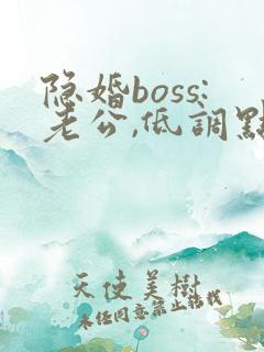 隐婚boss:老公,低调点 小说