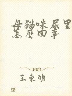 母猫咪尿里有血怎么回事