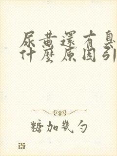 尿黄还有臭味是什么原因引起的