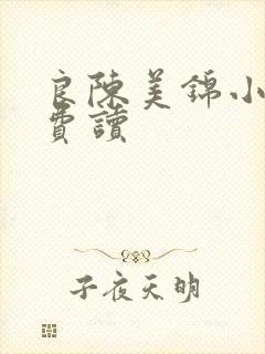 良陈美锦小说免费读