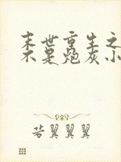 末世重生之我可不是炮灰小说