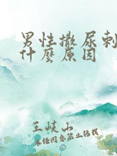 男性撒尿刺痛是什么原因