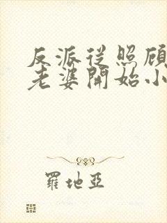 反派从照顾主角老婆开始小说