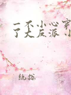 一不小心穿越成了大反派 小说