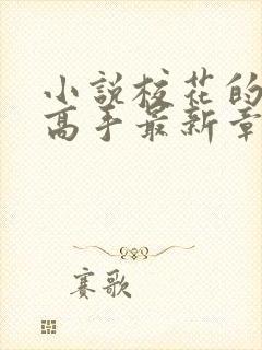 小说校花的贴身高手最新章节在线