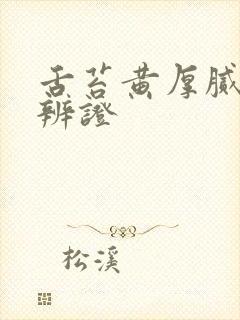 舌苔黄厚腻中医辨证