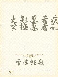 火影忍者疾风传究极忍者风暴4代充