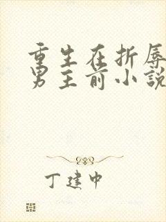 重生在折辱清冷男主前小说