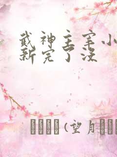 武神主宰小说更新完了没