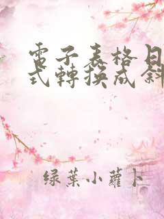 电子表格日期格式转换成斜杠