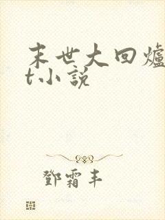 末世大回炉txt小说