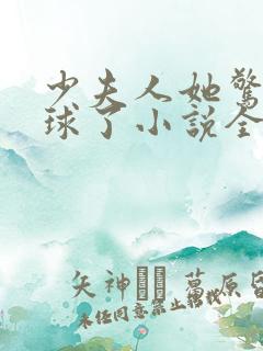 少夫人她惊艳全球了小说全文