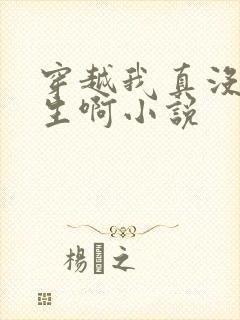 穿越我真没想重生啊小说