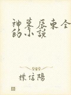 神墓辰东全免费的小说