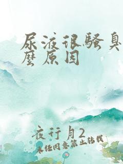 尿液很骚臭是什么原因