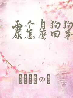 两个月狗狗频繁尿怎么回事