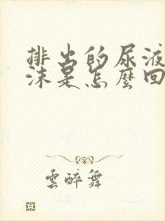 排出的尿液有泡沫是怎么回事