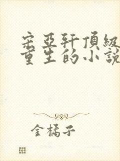 宋亚轩顶级杀手重生的小说