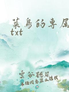 菜鸟的专属大神txt